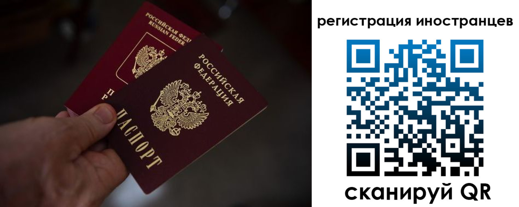 временная регистрация 2025 в Поворино